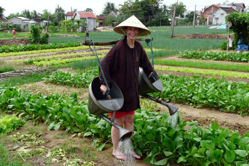 image-42